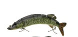 Premium Multi-Jointed Bionic Fishing Lure – Realistic Swim Action