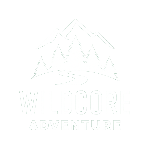 White circle on a white background